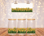 Yellow Daisies Sticker